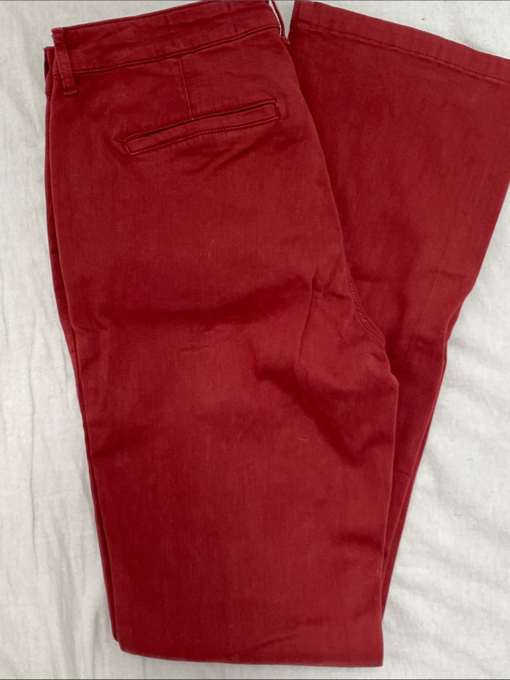 Bootcut Chino Pant by Cosmic Blue Love - Tall